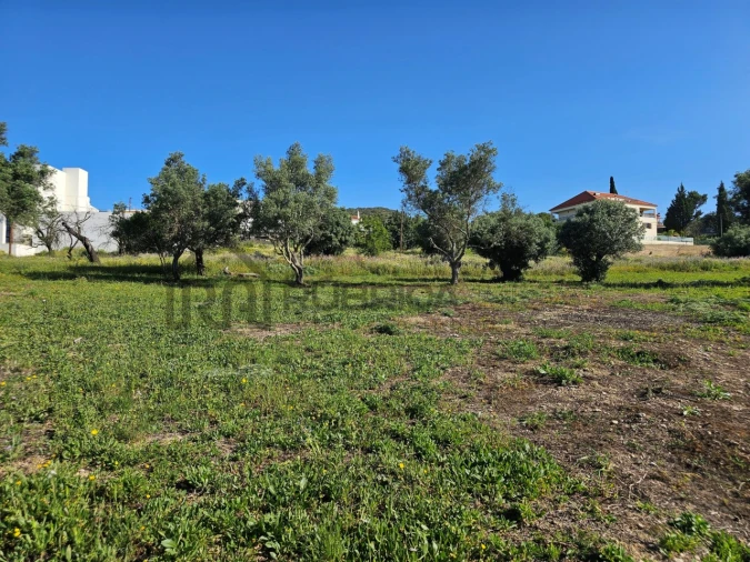 Terreno para Venda em Santa Barbara de Nexe Foto 10