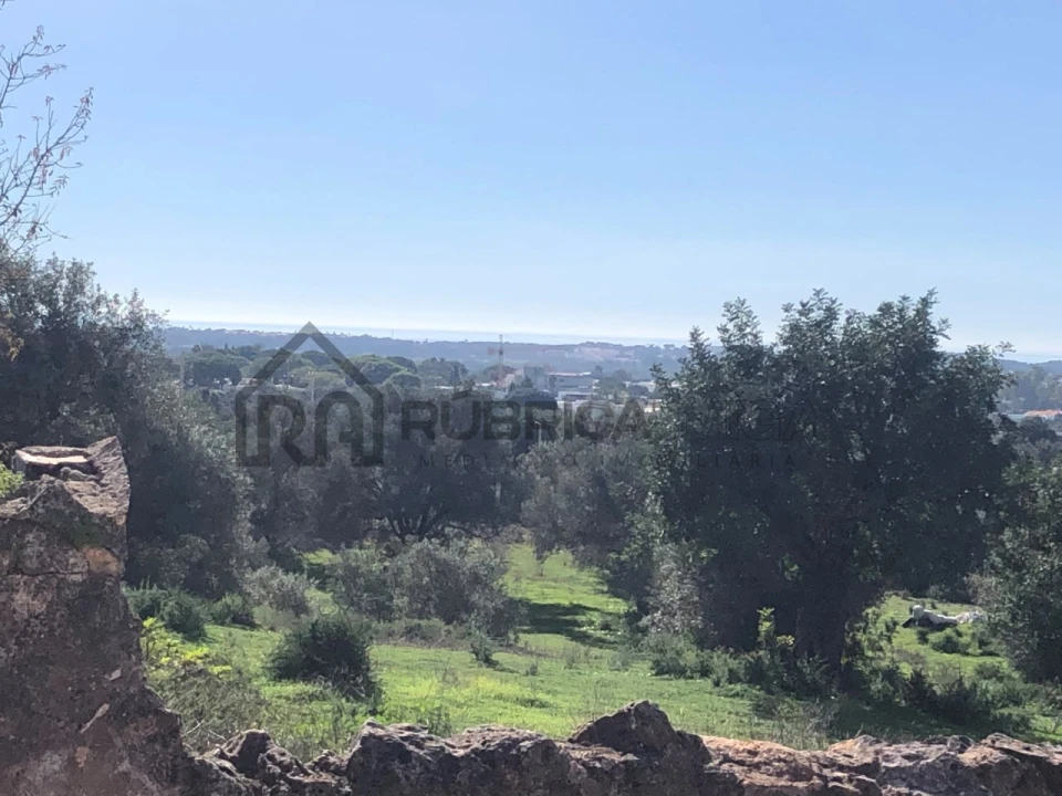 Terreno para Venda em Boliqueime Foto 1