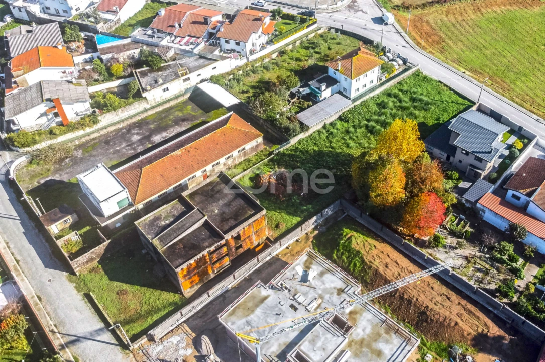 Terreno para Venda em Nogueira e Silva Escura Foto 19