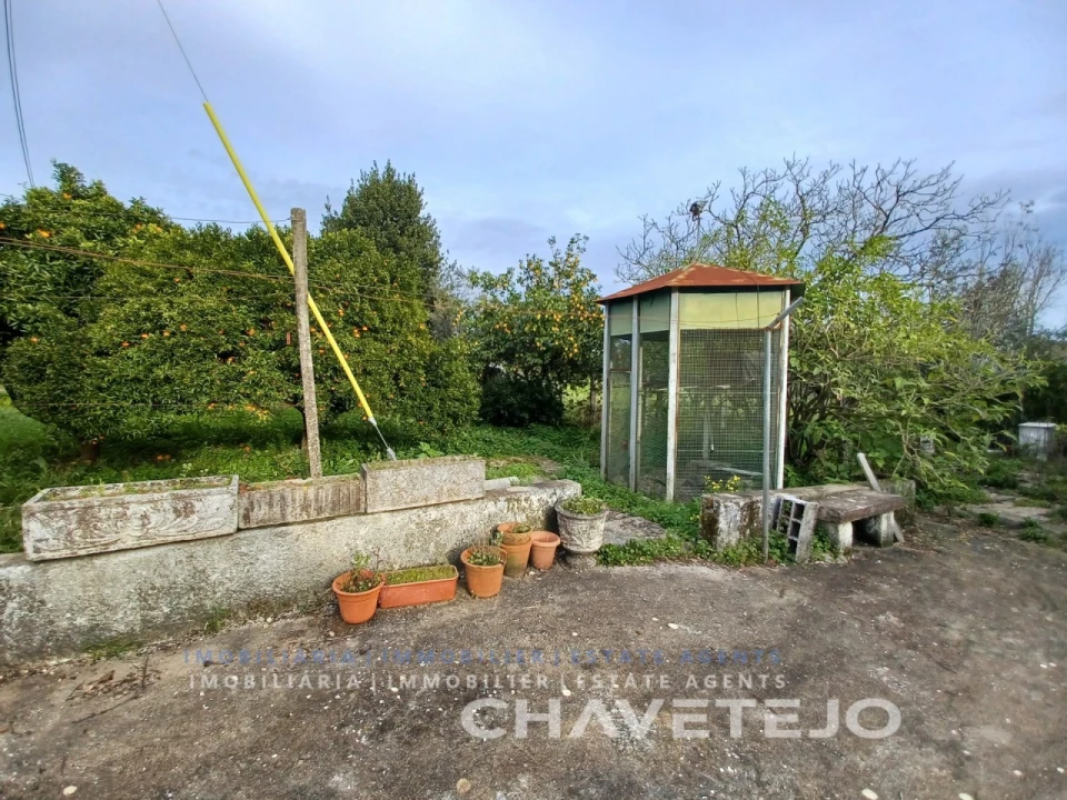 Moradia T3 para Venda em Olalhas Foto 6