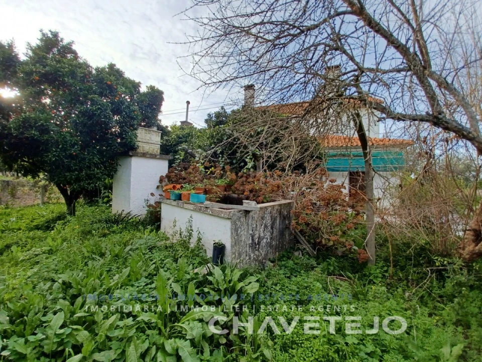 Moradia T3 para Venda em Olalhas Foto 14