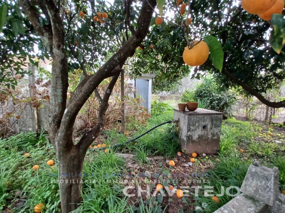 Moradia T3 para Venda em Olalhas Foto 15