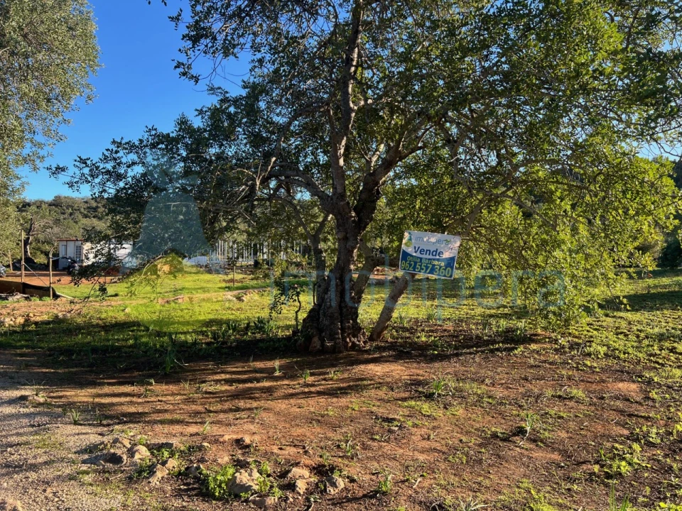 Terreno Agricola ou Rústico para Venda em Boliqueime Foto 2
