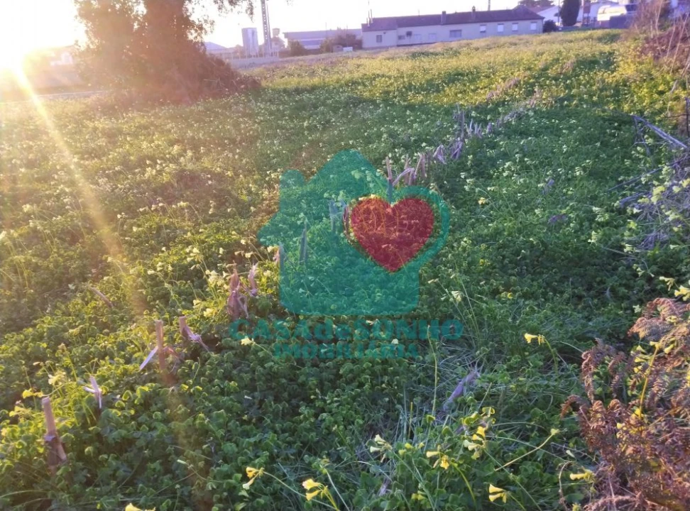 Terreno para Venda em Albergaria-A-Velha e Valmaior Foto 4