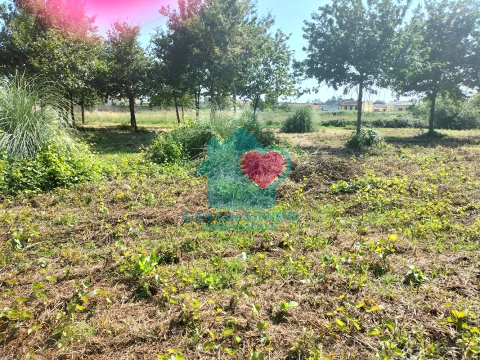 Quinta T6 para Venda em Branca Foto 8