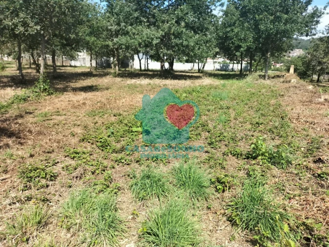 Quinta T6 para Venda em Branca Foto 11