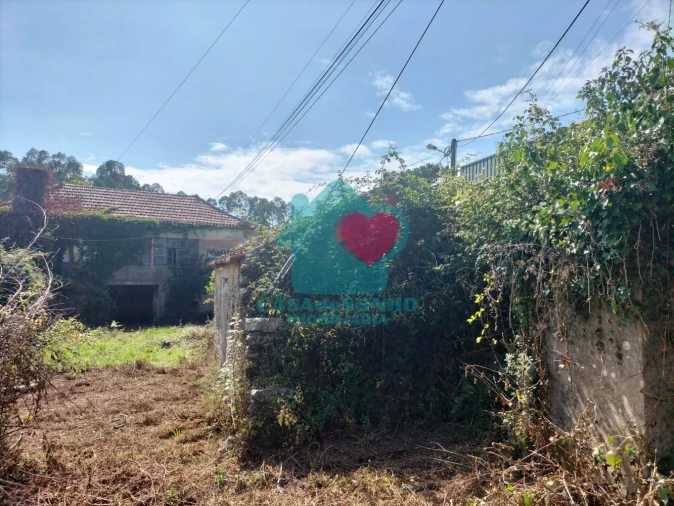 Quinta T6 para Venda em Branca Foto 6