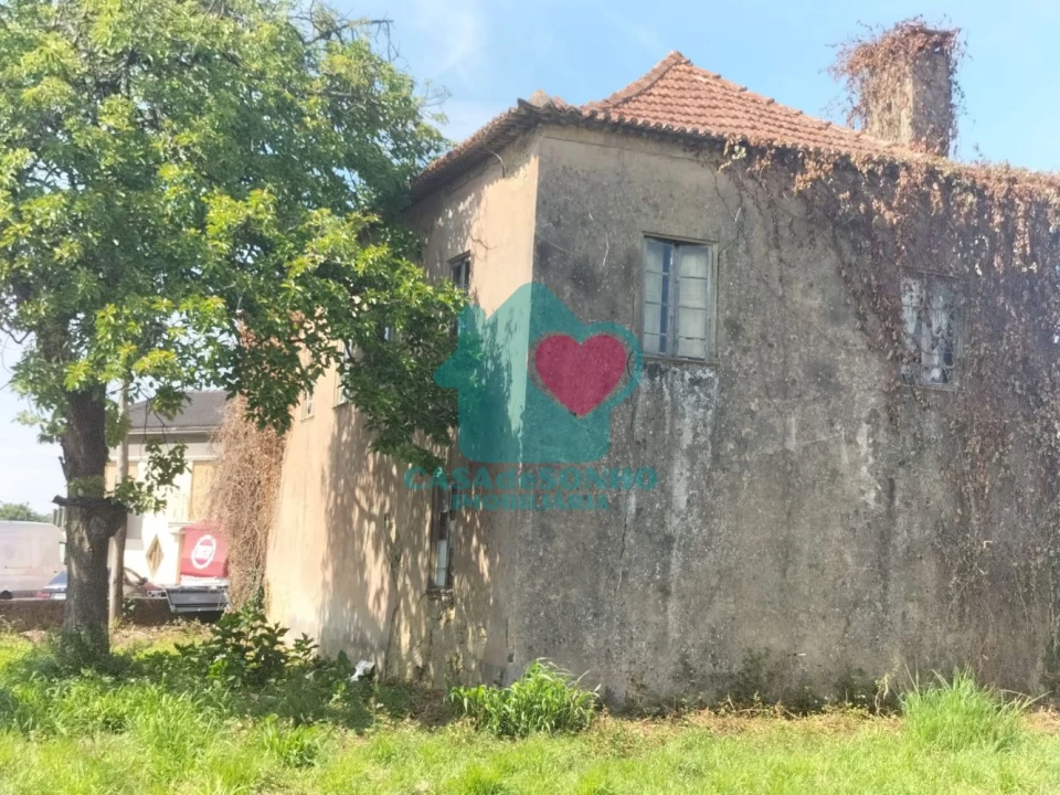 Quinta T6 para Venda em Branca Foto 3