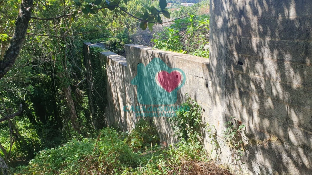 Terreno para Venda em Albergaria-A-Velha e Valmaior Foto 6