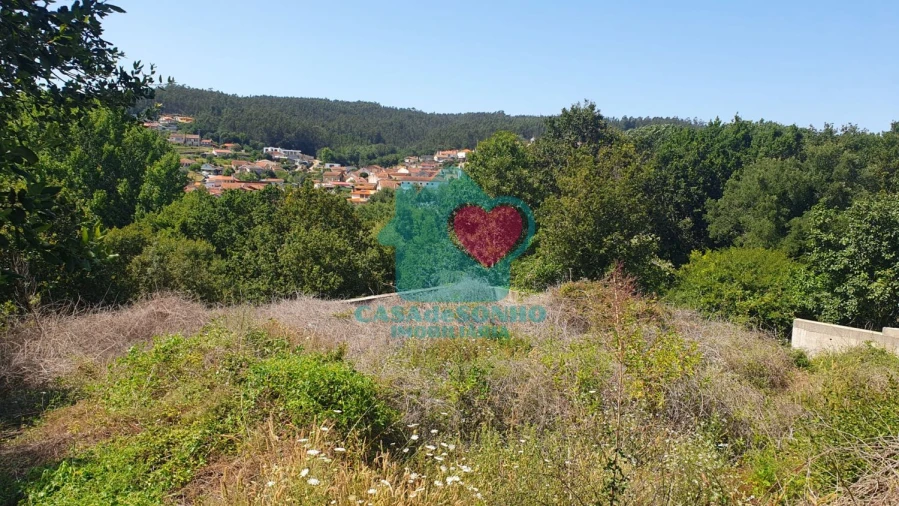 Terreno para Venda em Albergaria-A-Velha e Valmaior Foto 2