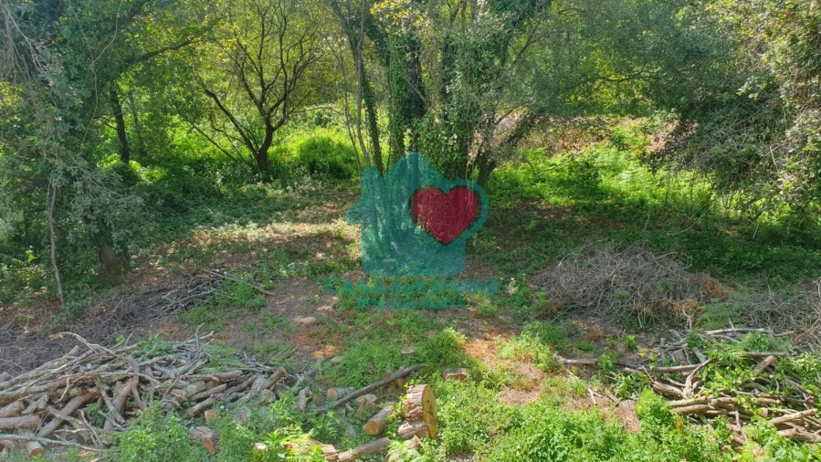 Terreno para Venda em Albergaria-A-Velha e Valmaior Foto 3