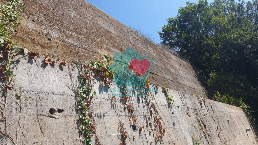 Terreno para Venda em Albergaria-A-Velha e Valmaior Foto 9
