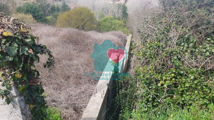 Terreno para Venda em Albergaria-A-Velha e Valmaior Foto 4