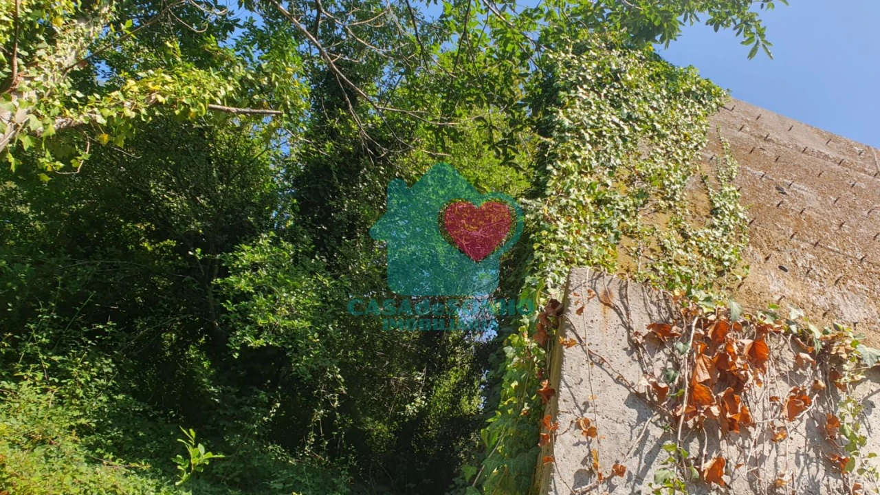 Terreno para Venda em Albergaria-A-Velha e Valmaior Foto 12