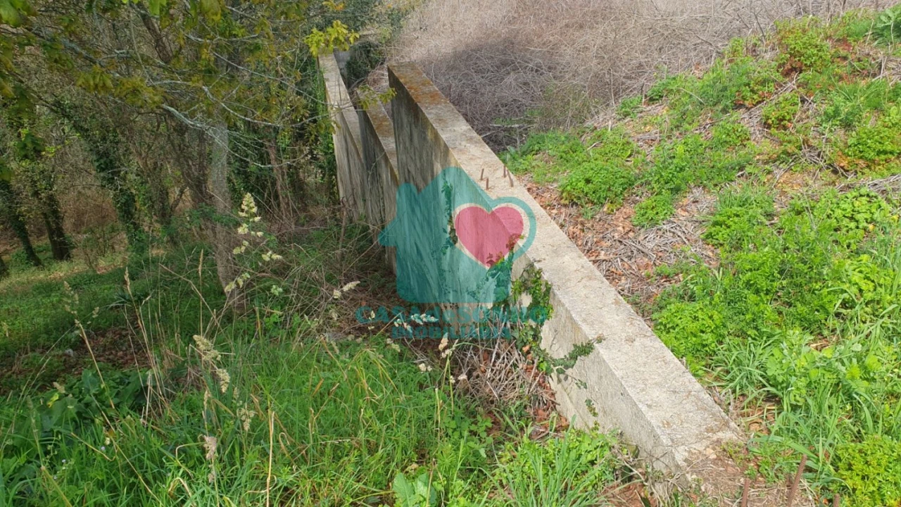 Terreno para Venda em Albergaria-A-Velha e Valmaior Foto 5
