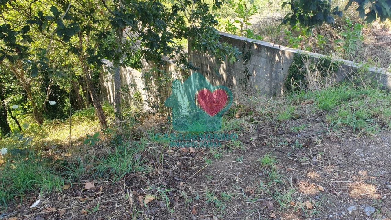 Terreno para Venda em Albergaria-A-Velha e Valmaior Foto 13