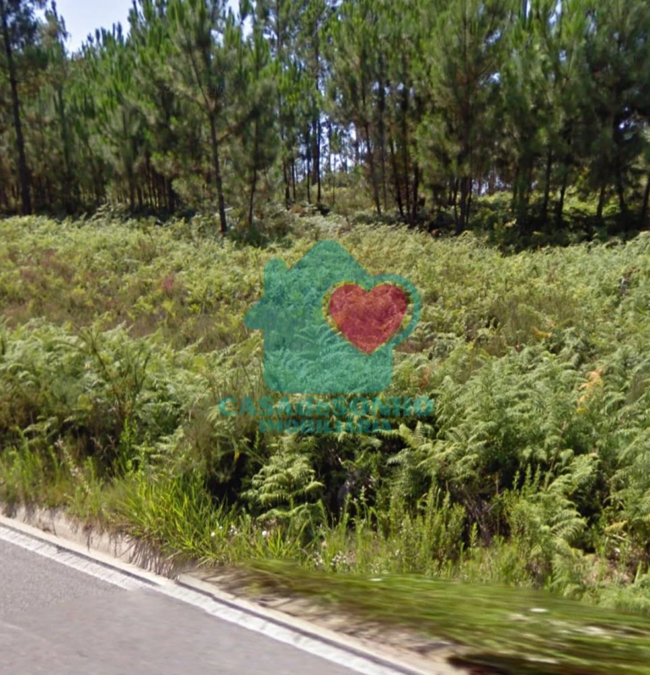 Terreno para Venda em Águeda e Borralha Foto 2