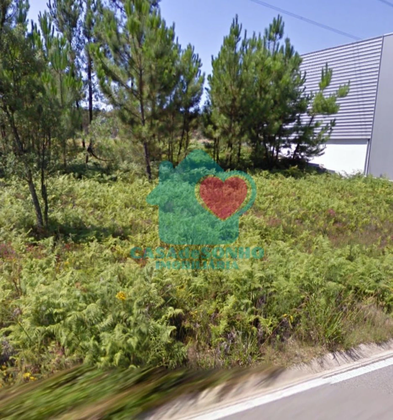 Terreno para Venda em Águeda e Borralha Foto 3