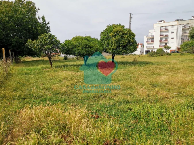 Terreno para Venda em Albergaria-A-Velha e Valmaior Foto 5