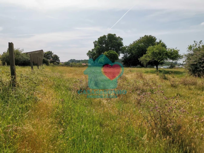 Terreno para Venda em Albergaria-A-Velha e Valmaior Foto 2