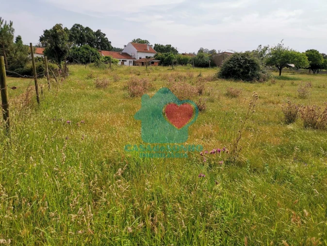 Terreno para Venda em Albergaria-A-Velha e Valmaior Foto 3