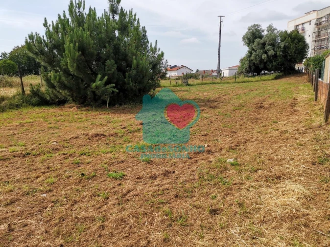 Terreno para Venda em Albergaria-A-Velha e Valmaior Foto 4
