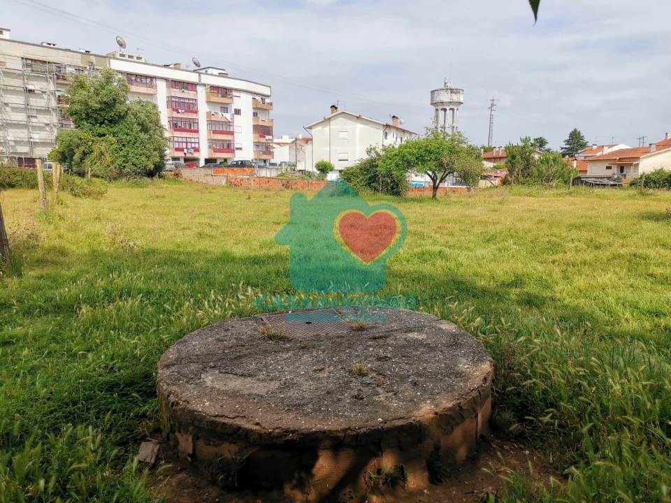 Terreno para Venda em Albergaria-A-Velha e Valmaior Foto 7