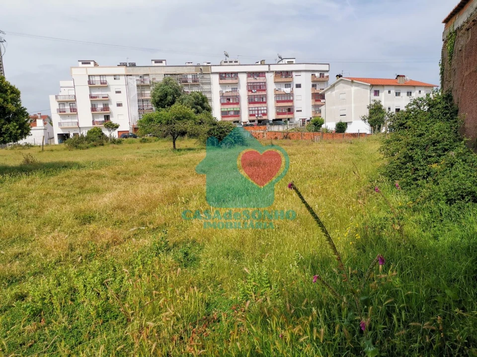 Terreno para Venda em Albergaria-A-Velha e Valmaior Foto 6