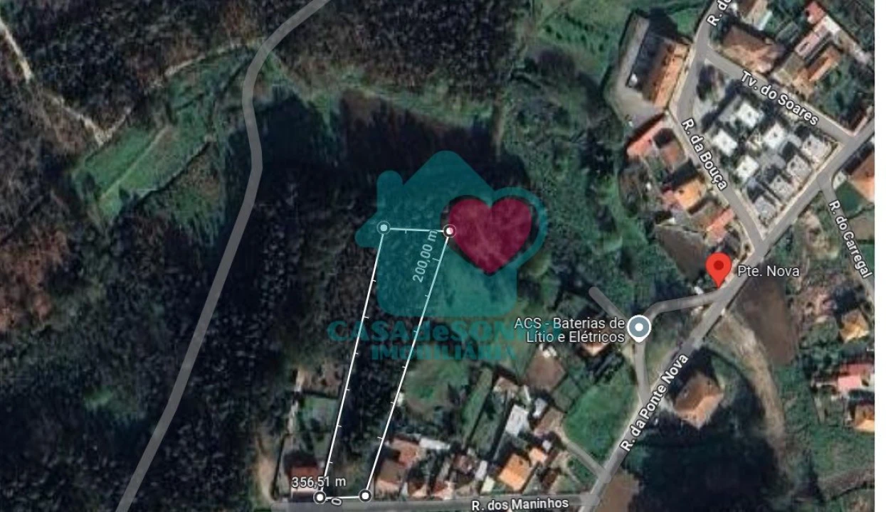 Terreno para Venda em Pinheiro da Bemposta, Travanca e Palmaz Foto 1