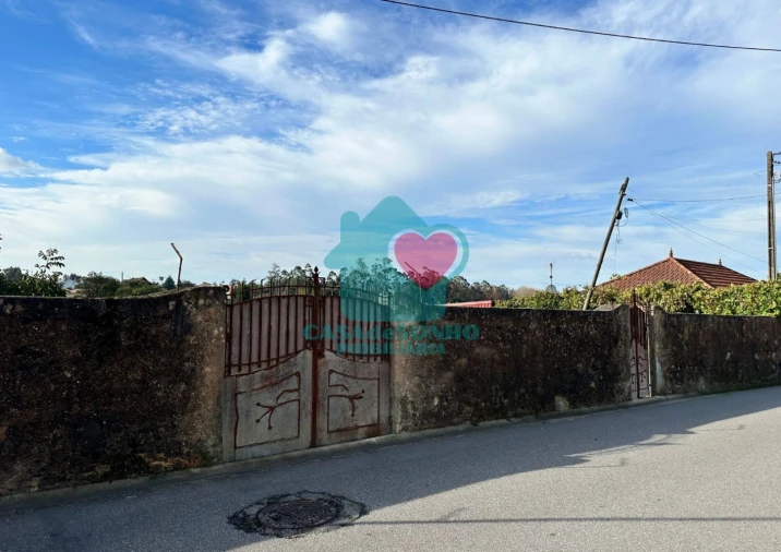 Terreno para Venda em Branca Foto 5