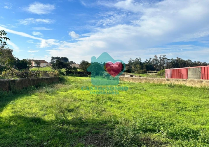 Terreno para Venda em Branca Foto 6