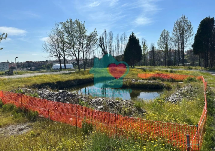 Terreno para Venda em Albergaria-A-Velha e Valmaior Foto 3