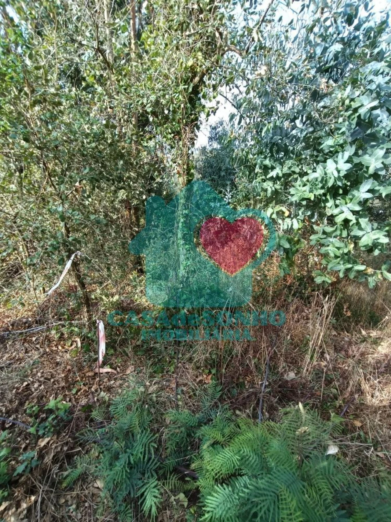 Moradia T3 para Venda em São João de Loure e Frossos Foto 27