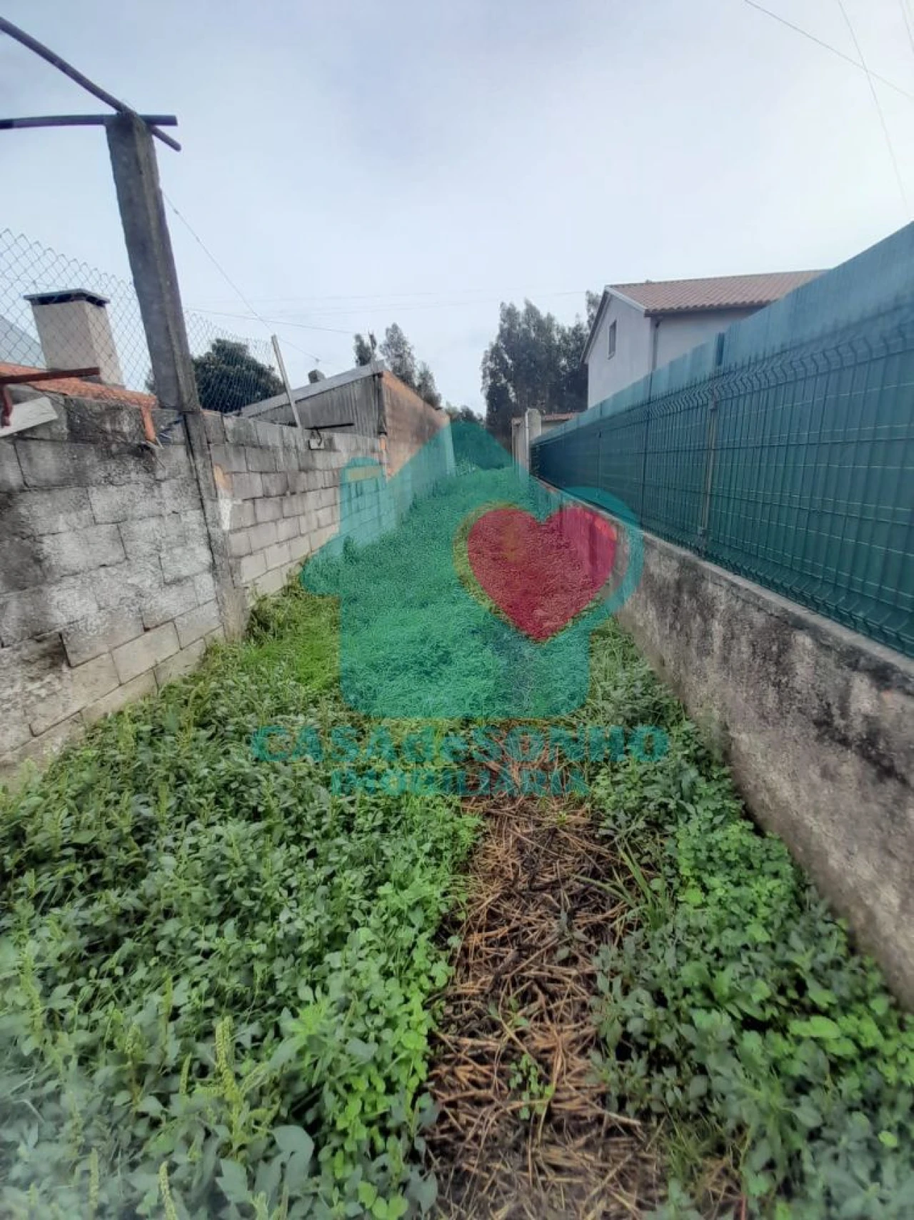 Terreno para Venda em Macinhata do Vouga Foto 2