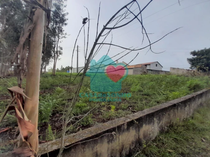 Terreno para Venda em Macinhata do Vouga Foto 4