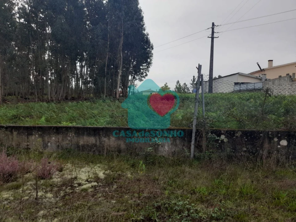 Terreno para Venda em Macinhata do Vouga Foto 4