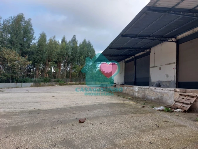 Loja para Arrendamento em Albergaria-A-Velha e Valmaior Foto 2