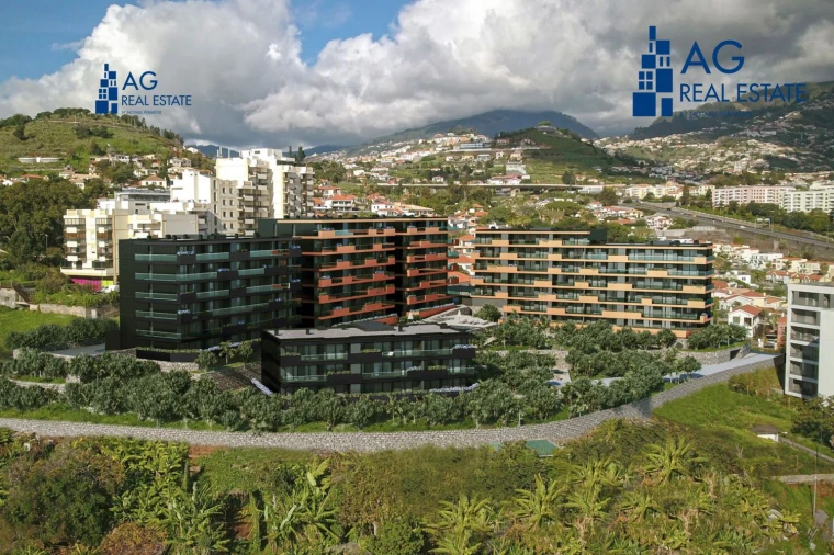 Loja para Venda em São Martinho Foto 4