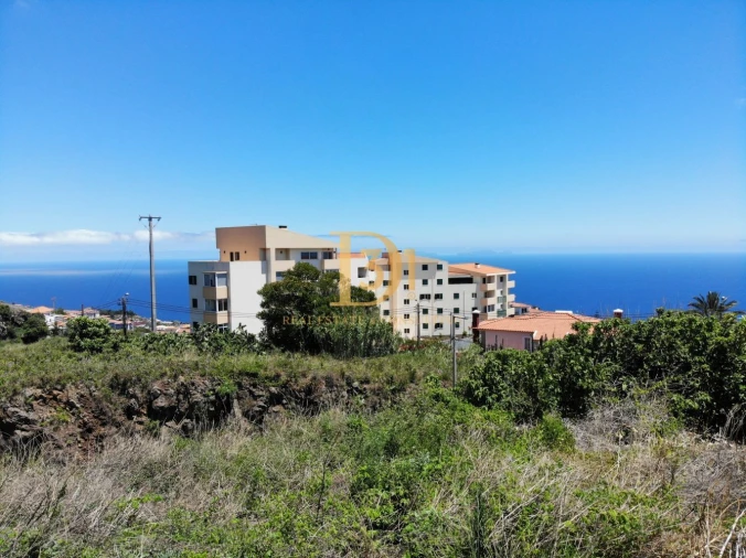 Terreno para Venda em Caniço Foto 3