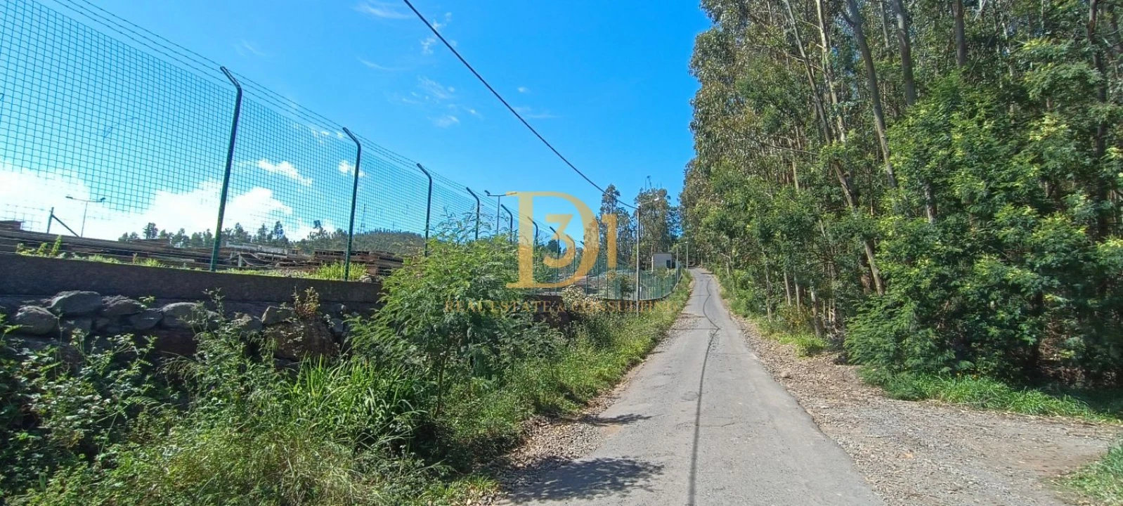 Terreno para Venda em Camacha Foto 7