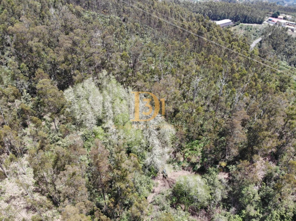 Terreno para Venda em Camacha Foto 2