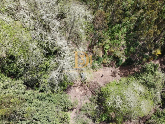 Terreno para Venda em Camacha Foto 5