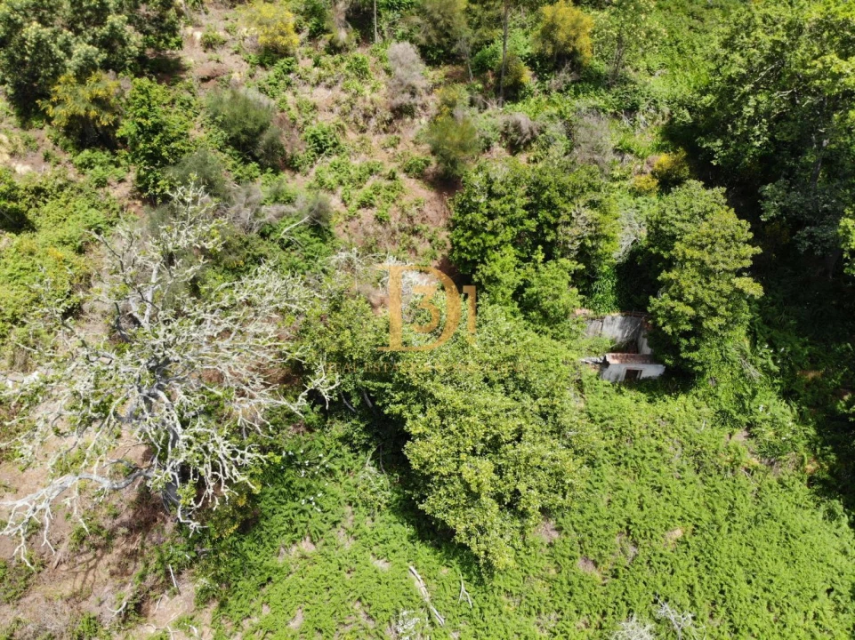 Terreno para Venda em Camacha Foto 4