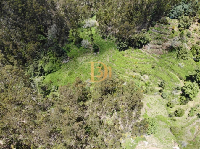 Terreno para Venda em Camacha Foto 11