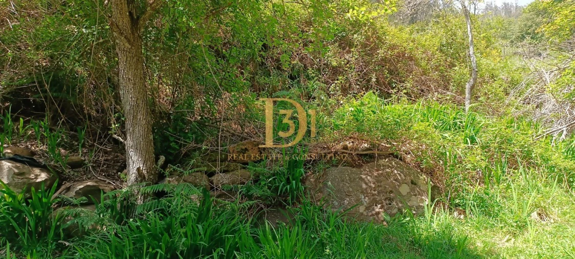 Terreno para Venda em Camacha Foto 9