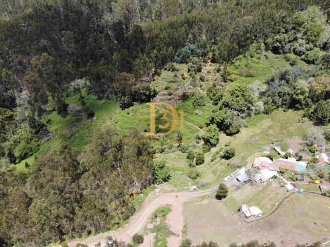 Terreno para Venda em Camacha Foto 12