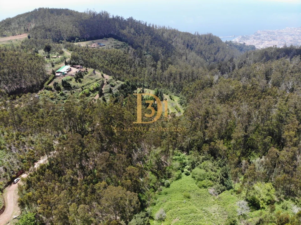 Terreno para Venda em Camacha Foto 13