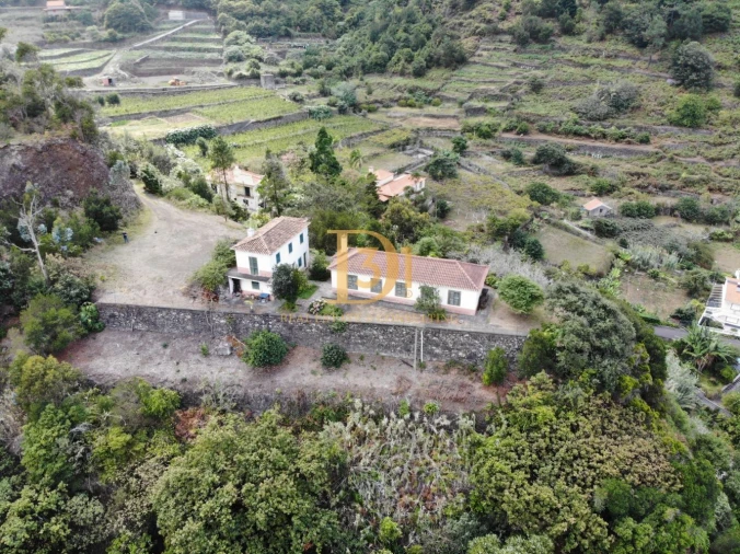 Quinta T3 para Venda em São Vicente Foto 6