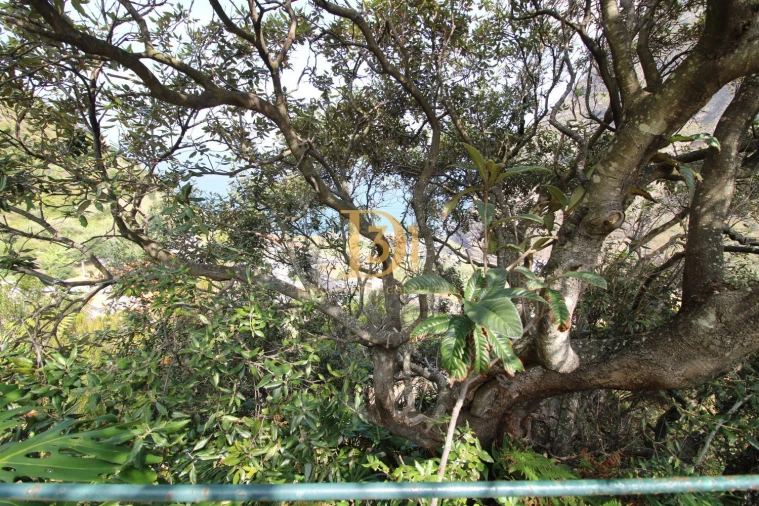 Quinta T3 para Venda em São Vicente Foto 21