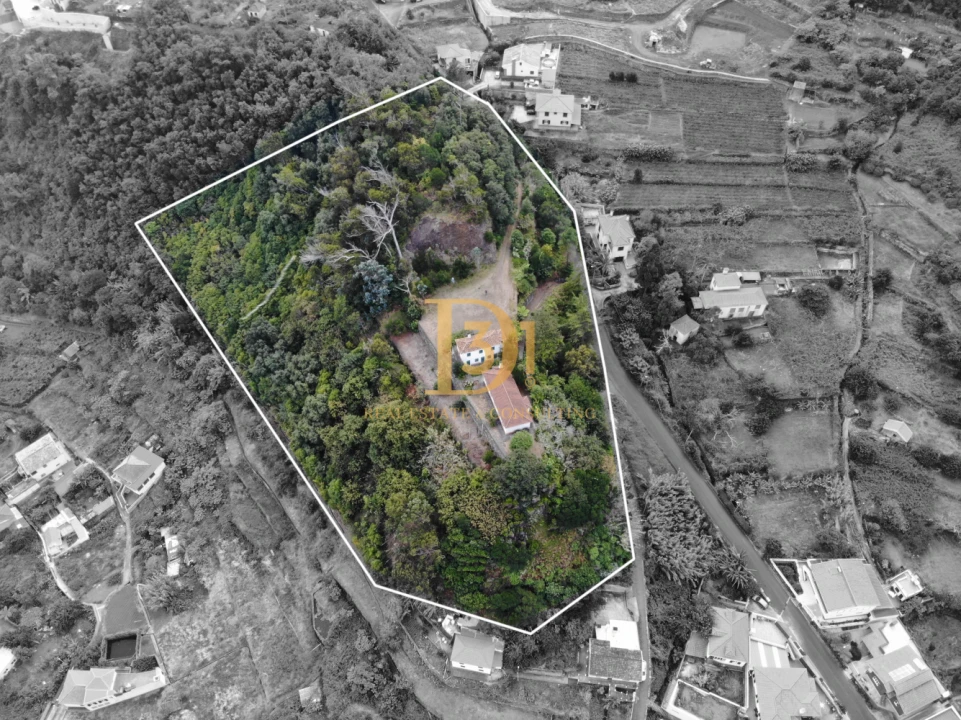 Quinta T3 para Venda em São Vicente Foto 3